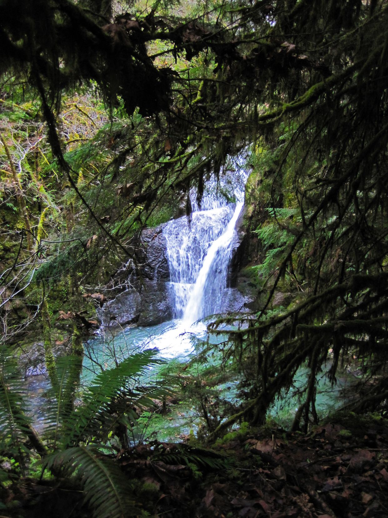 Wolf Creek Falls