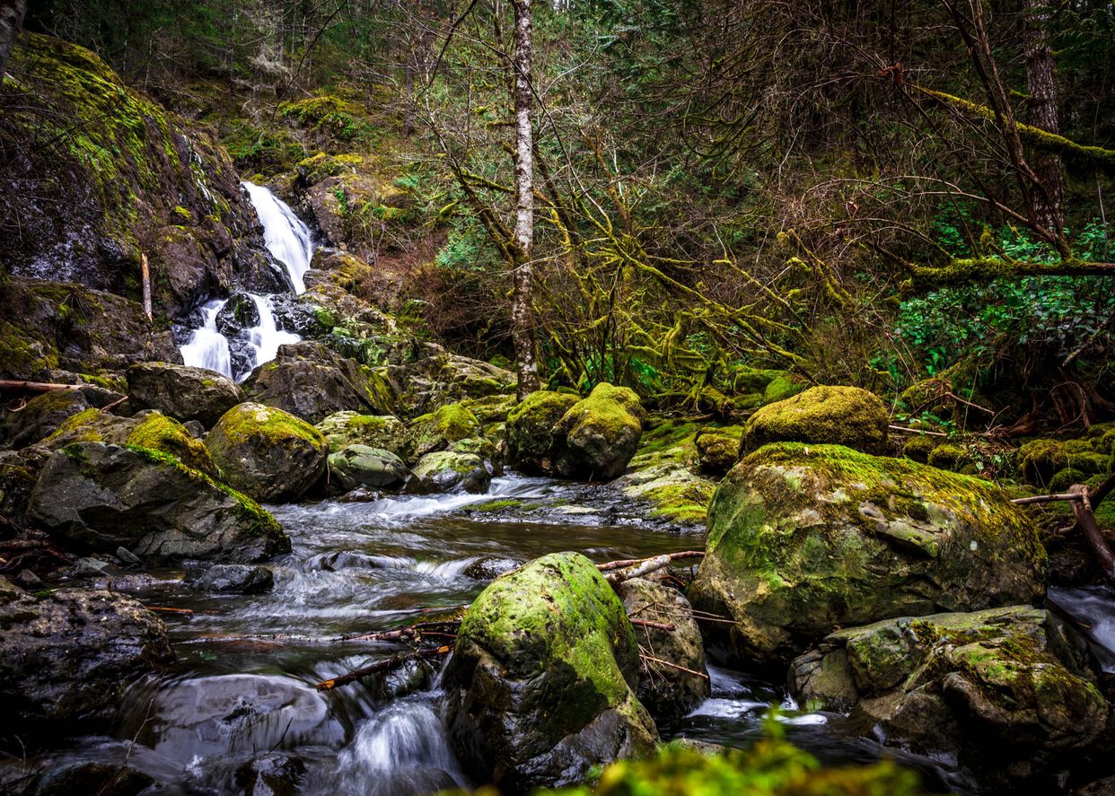 Hidden Waterfall