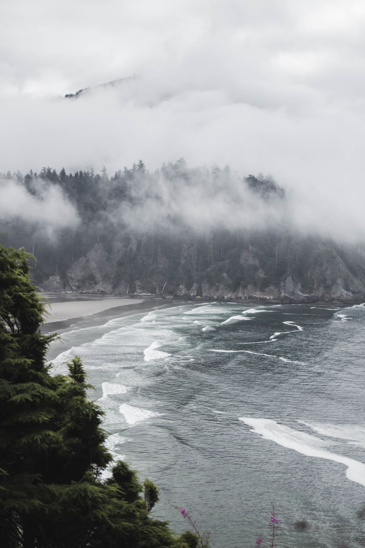 Cape Falcon Lookout