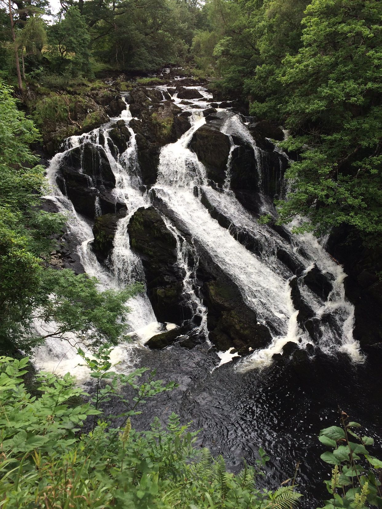 Swallow Falls Waterfall