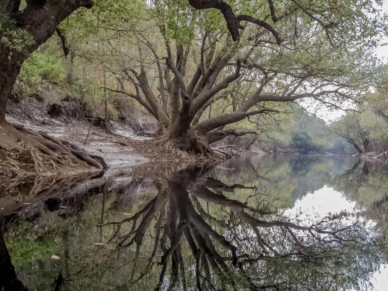  Suwannee River