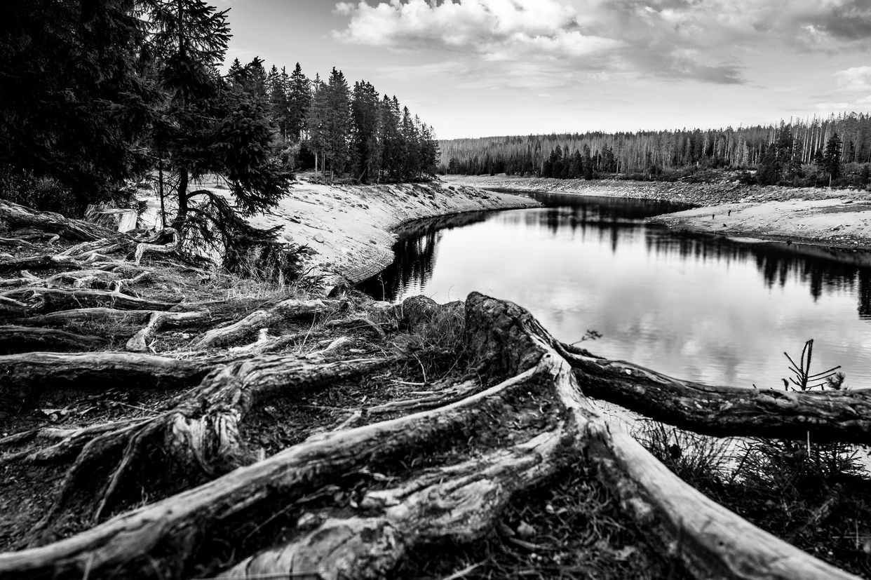 Oderteich