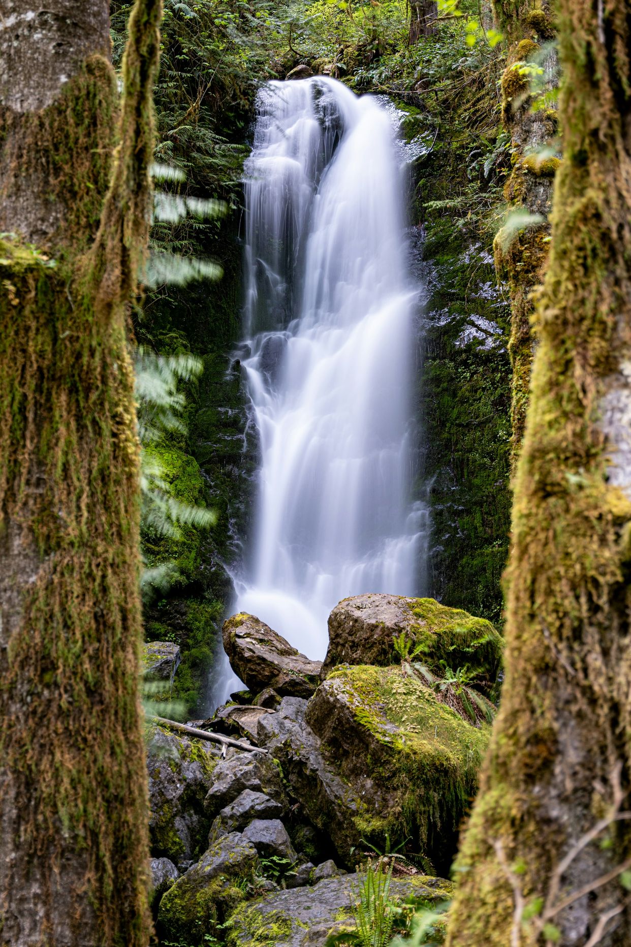 Merriman Falls