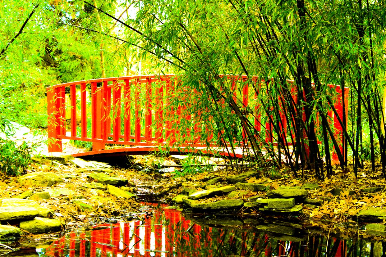 Miyazaki Japanese Garden