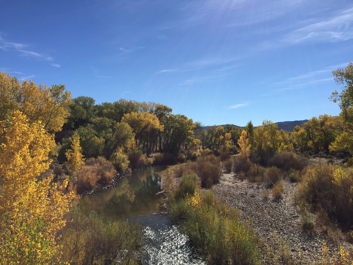 Carson River