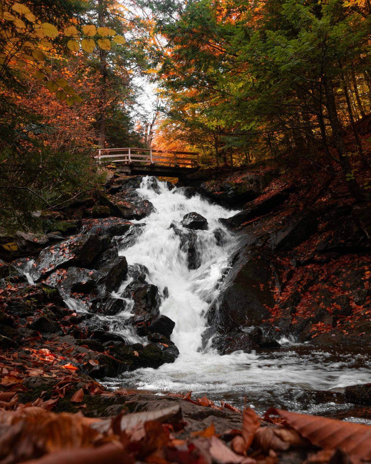 Dunlop Falls