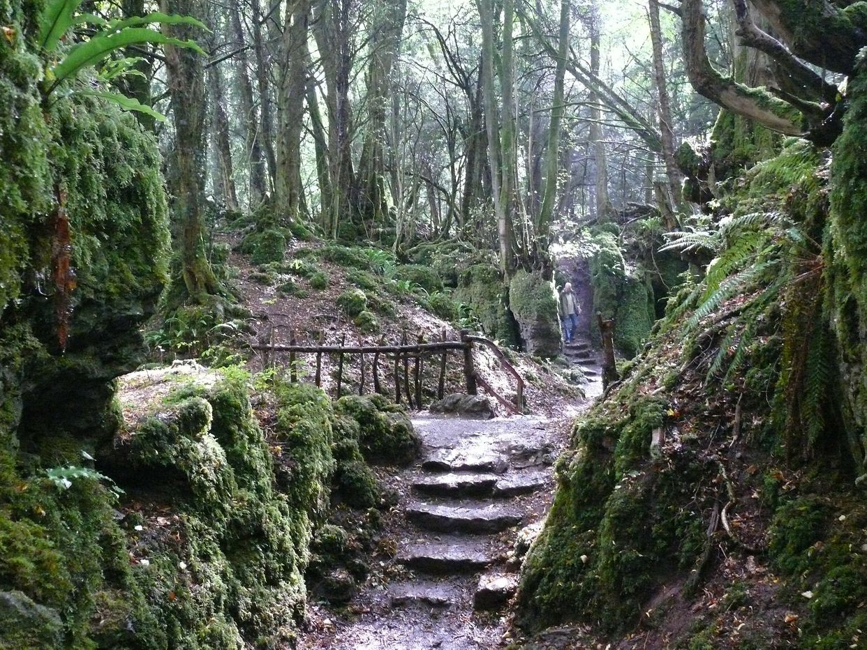 Puzzlewood