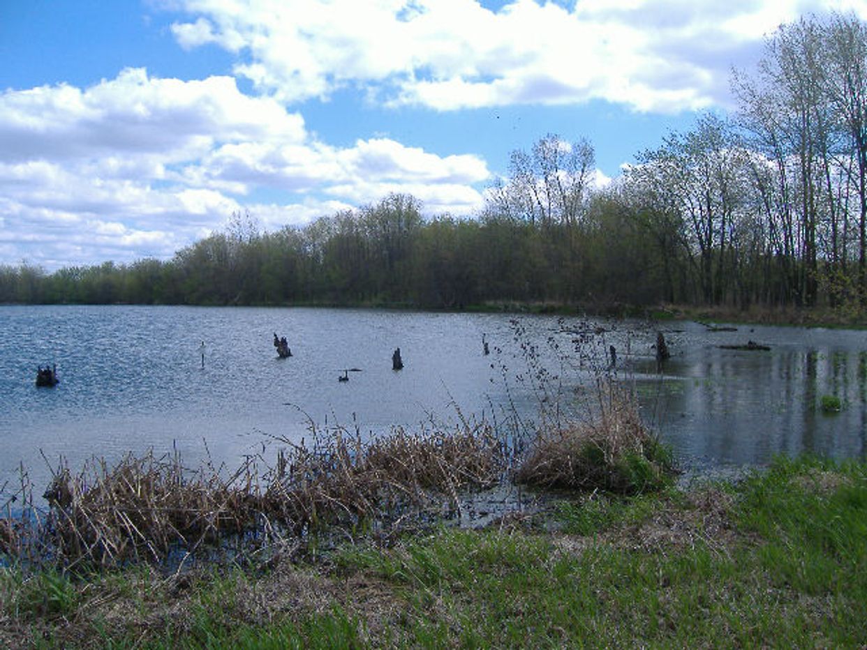 Stage's Pond
