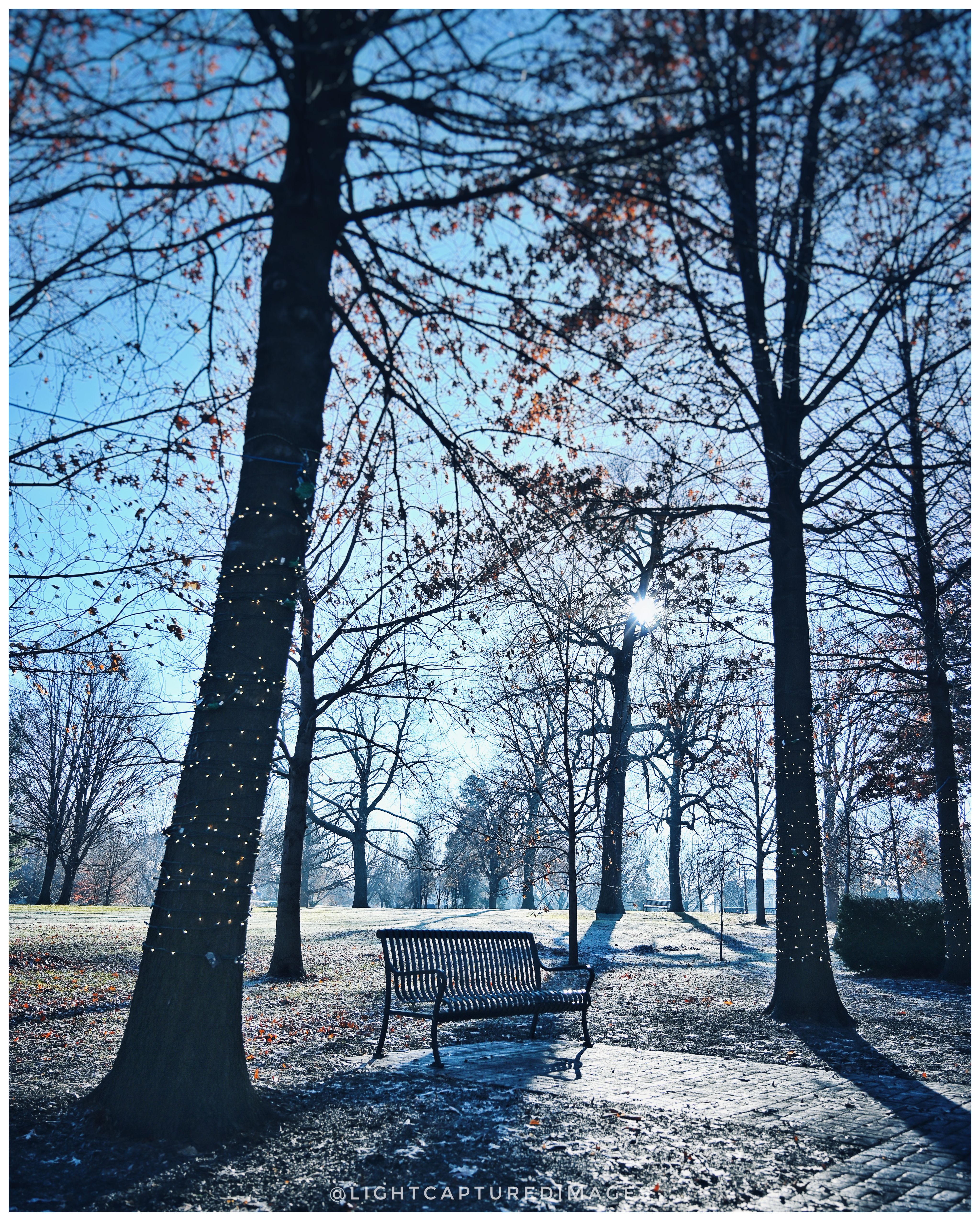 Vander Veer Park — Photo by @lightcapturedimages
