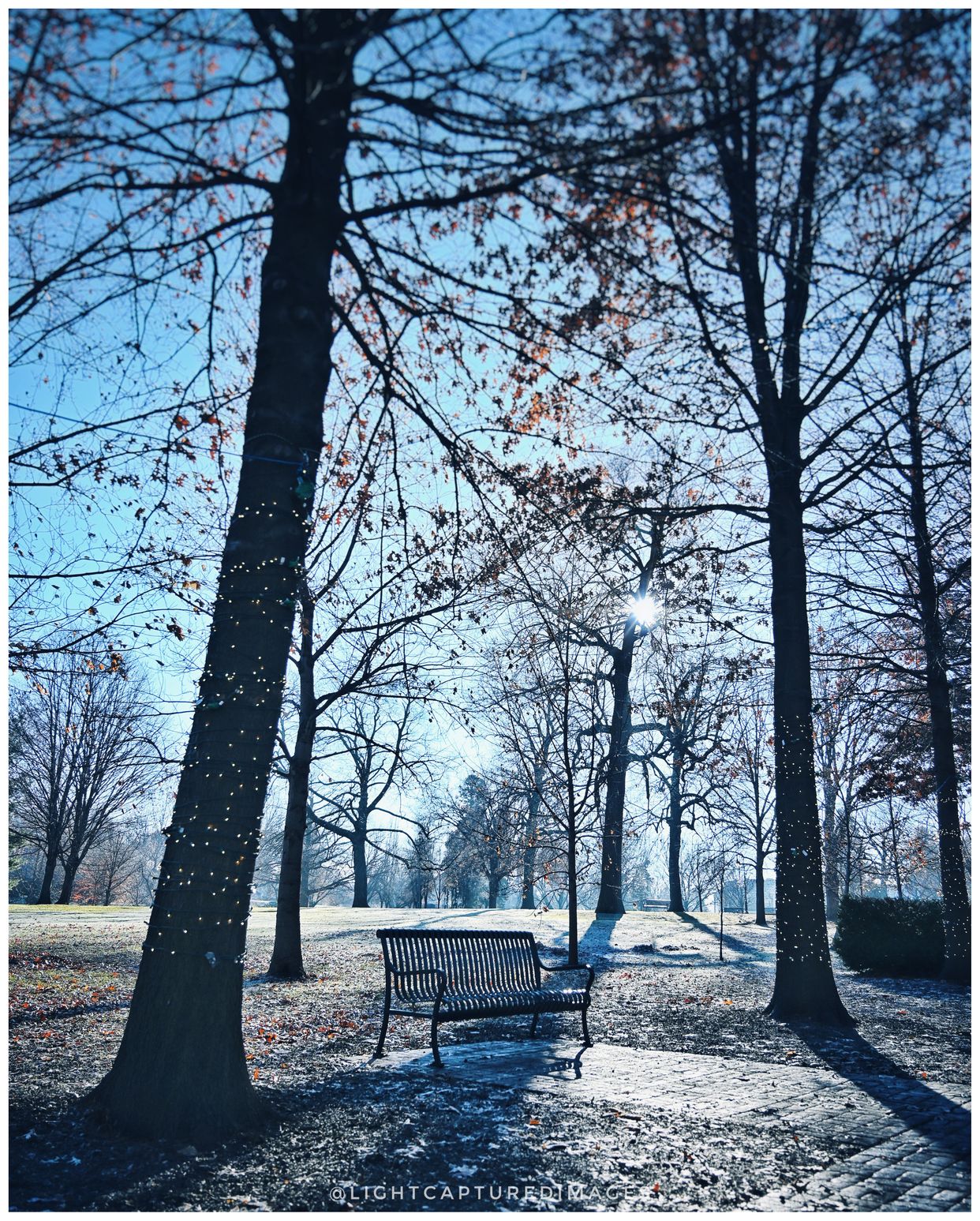 Vander Veer Park