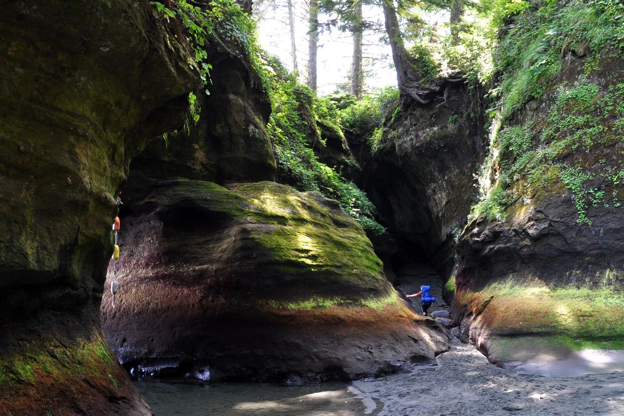 Owen Point Sea Caves