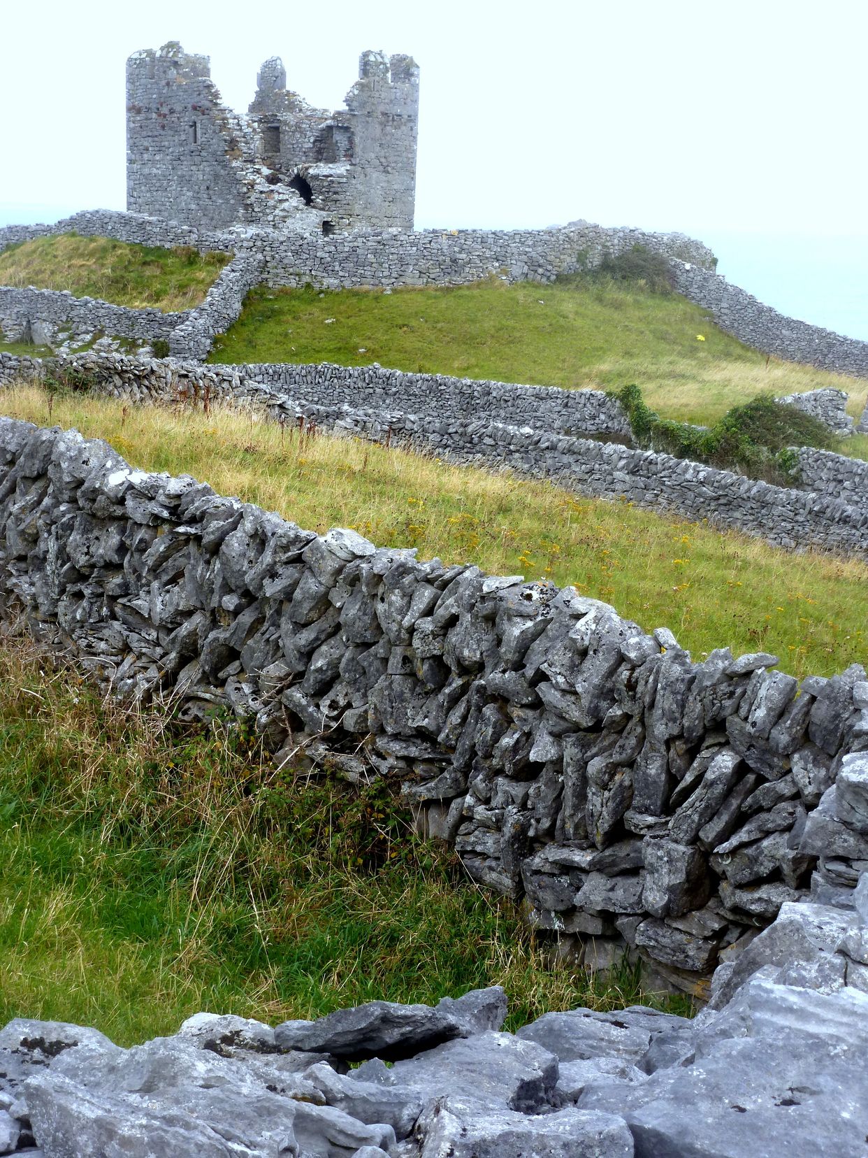 O'Brien's Castle