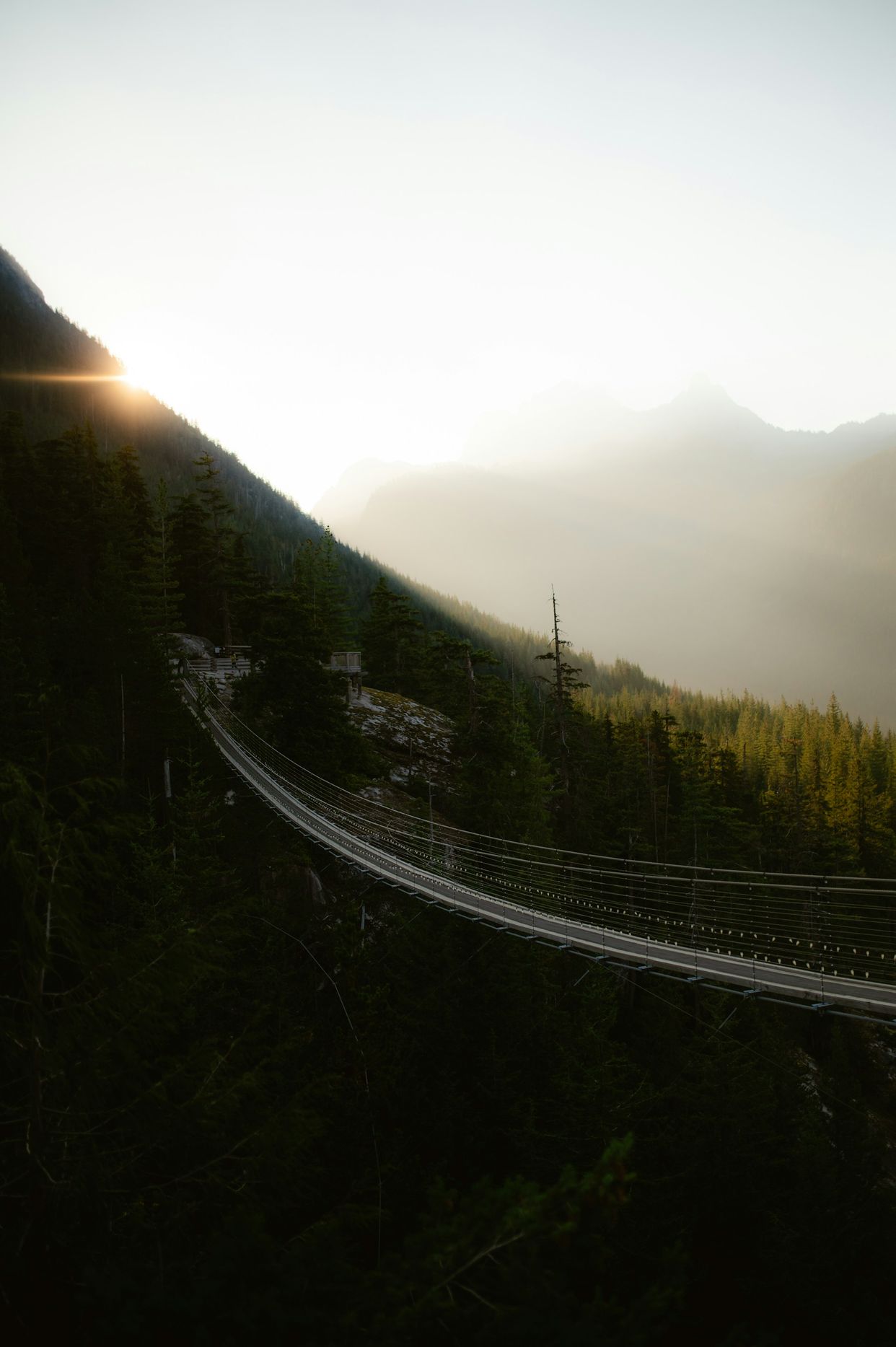 Sky Pilot Suspension Bridge