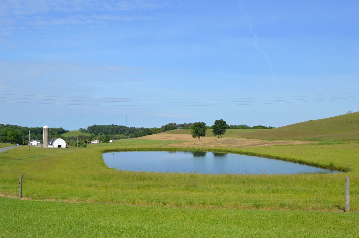 Scenic Fields