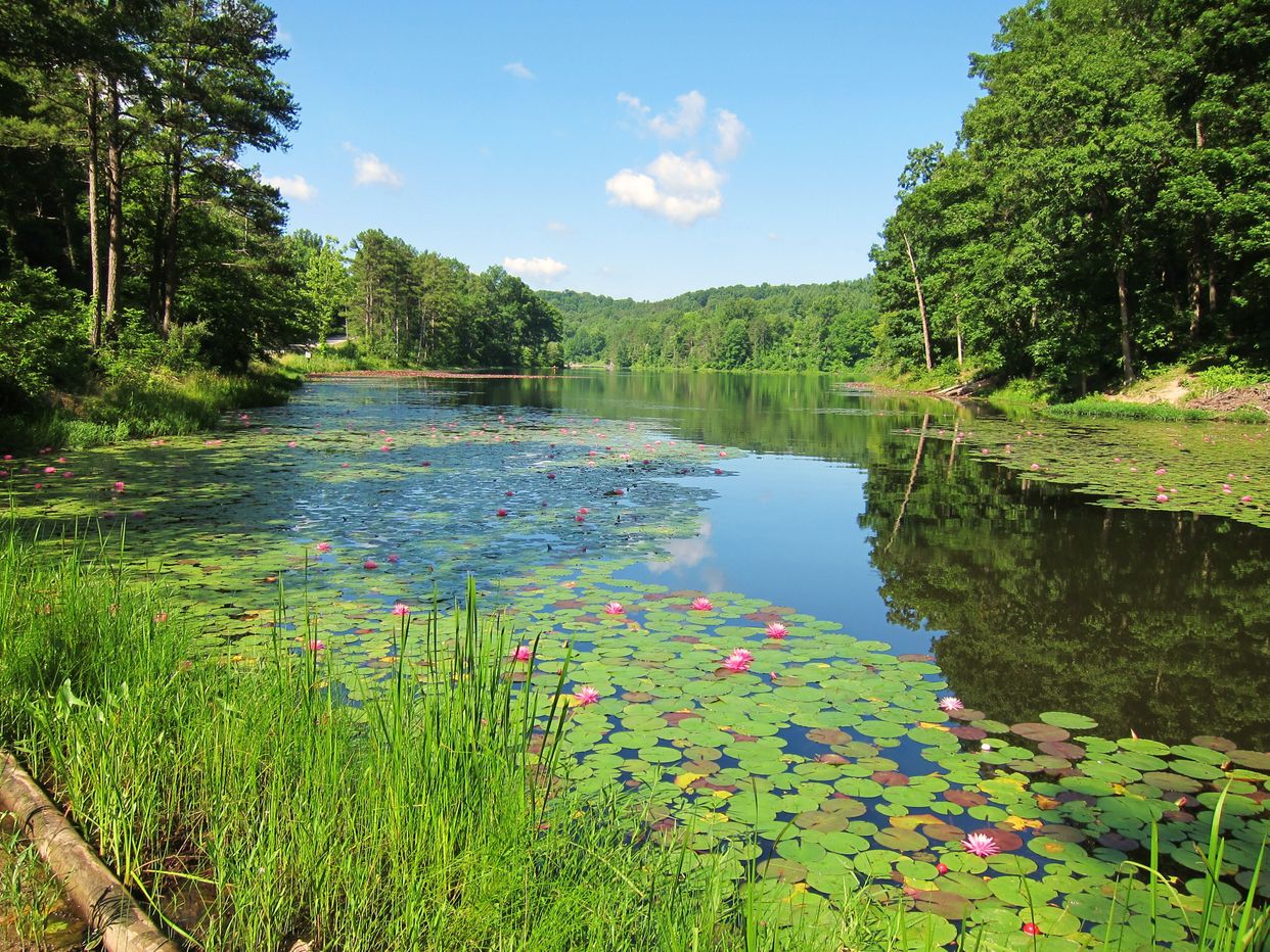 Lake Hope 