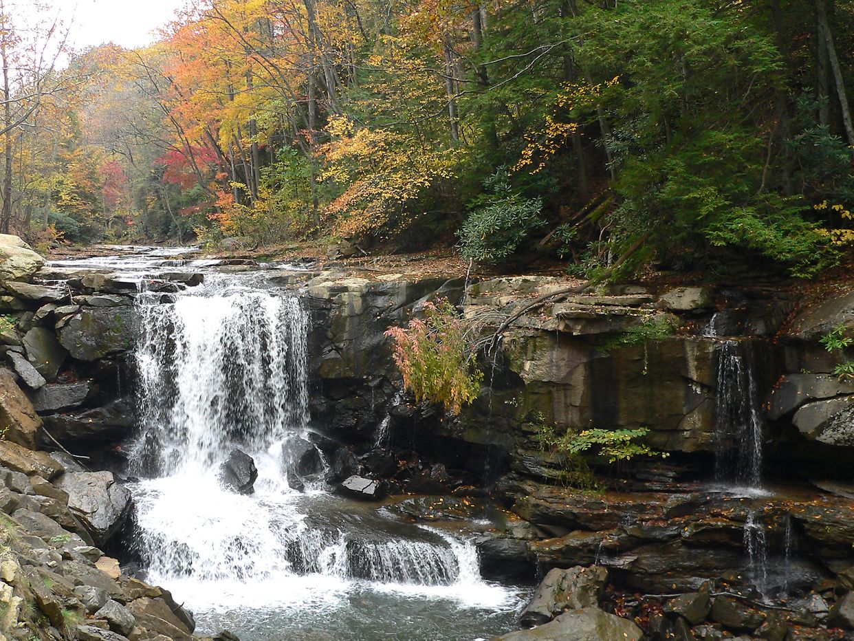 Laurel Creek Falls