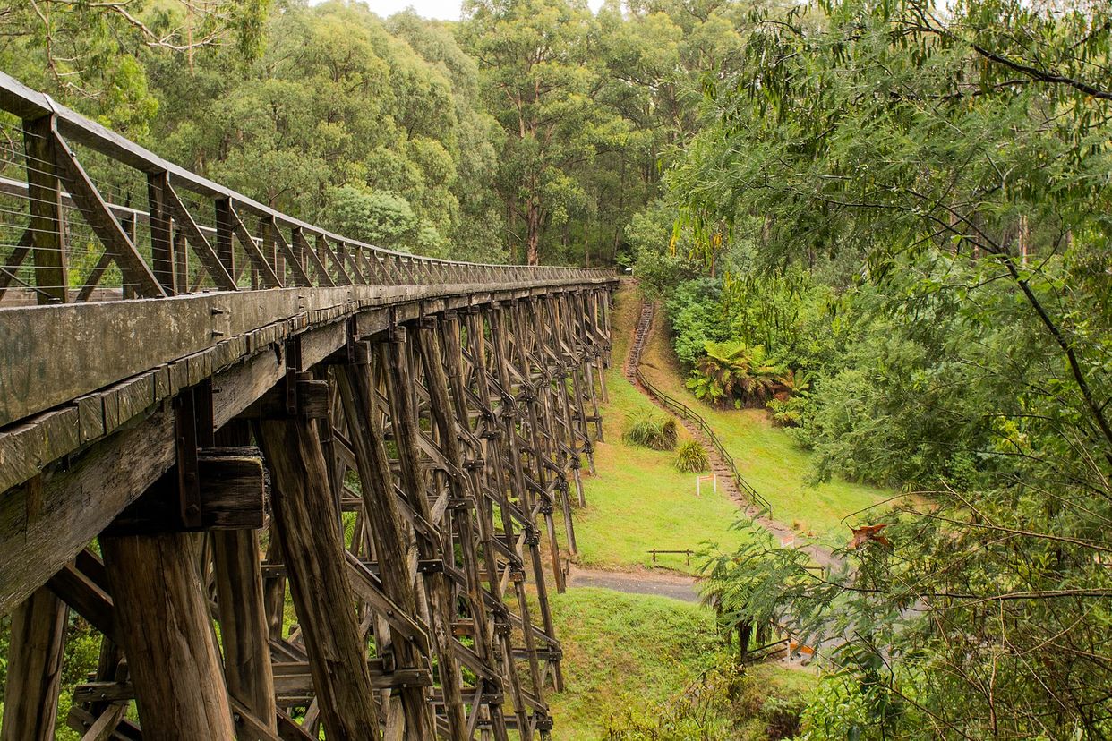 Noojee Trestle Bridge