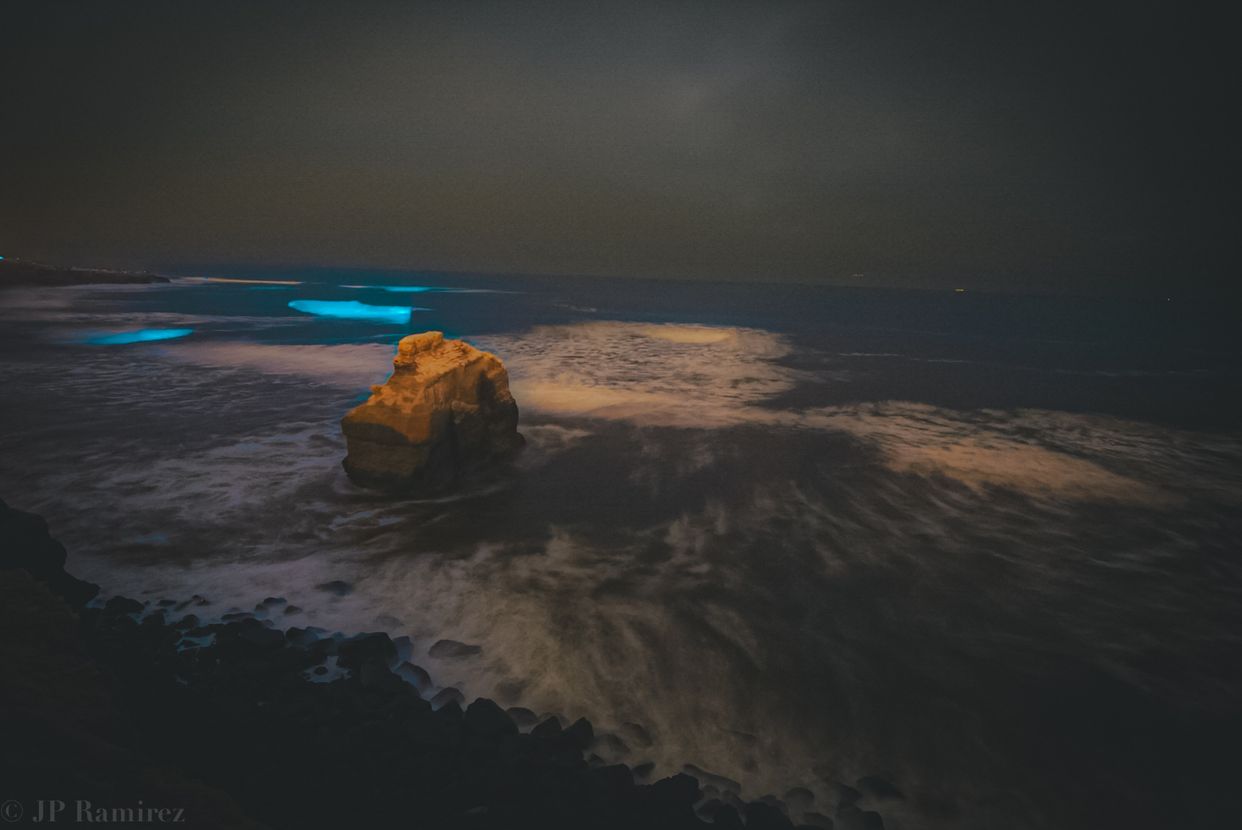 Sunset Cliffs 