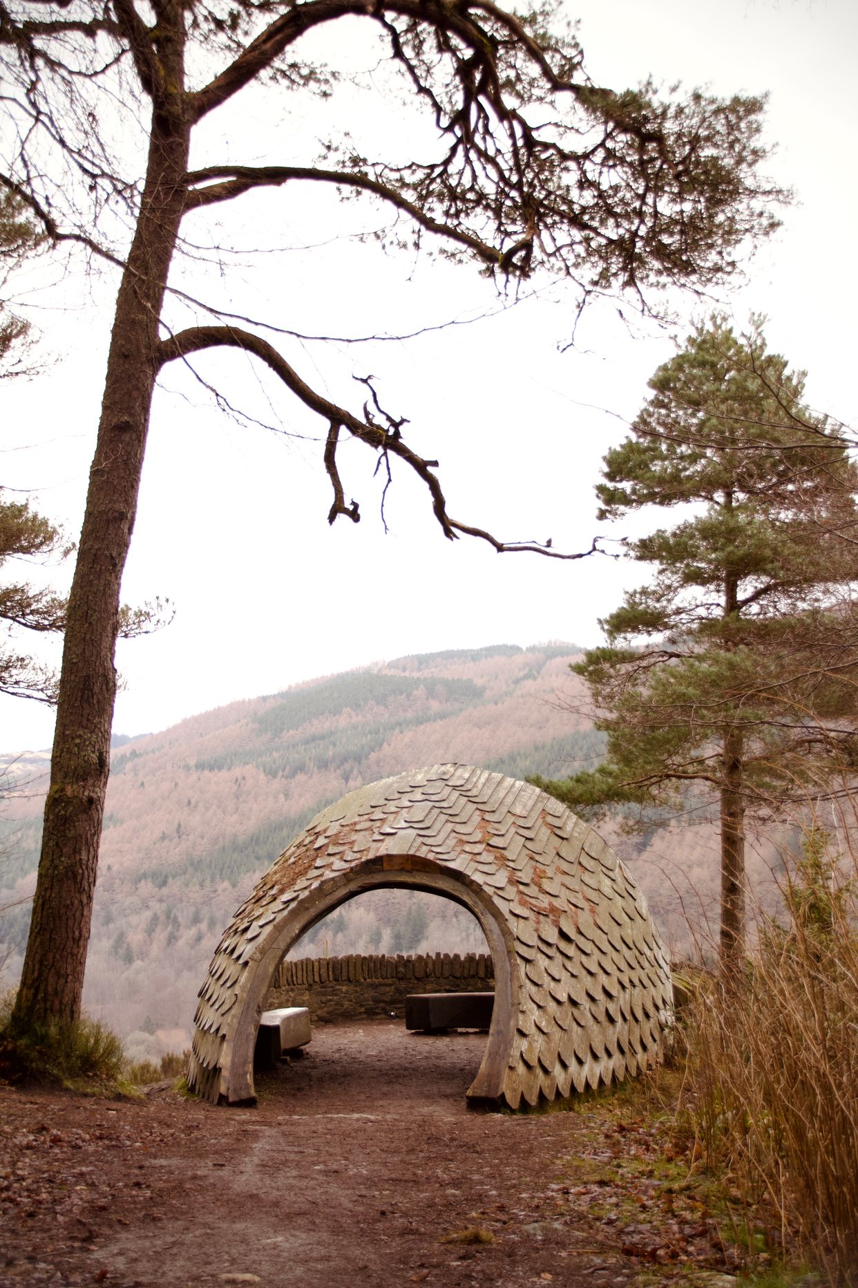 Pinecone Point
