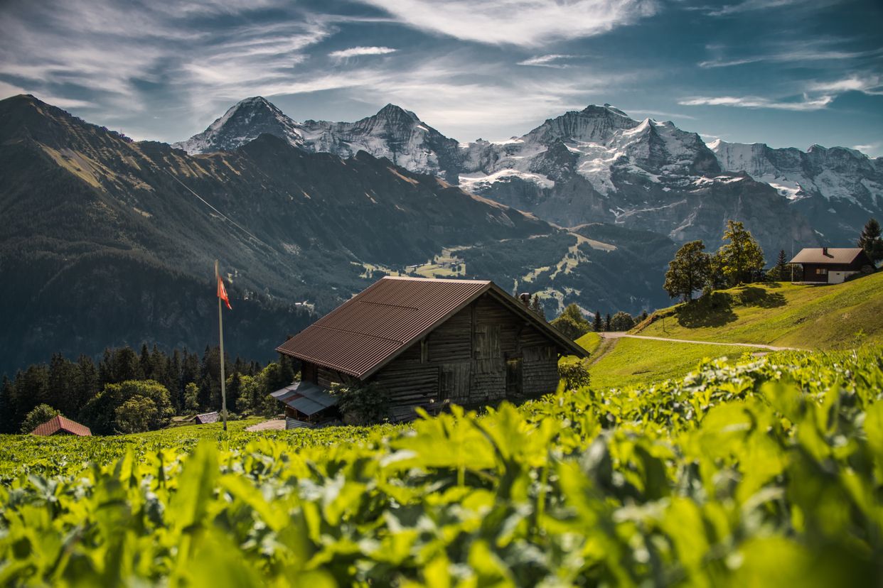 Sulwald