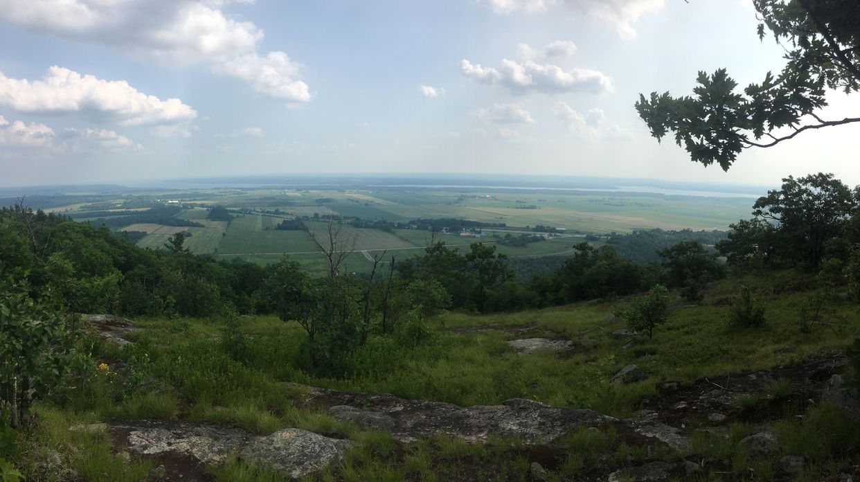 Scenic Lookout