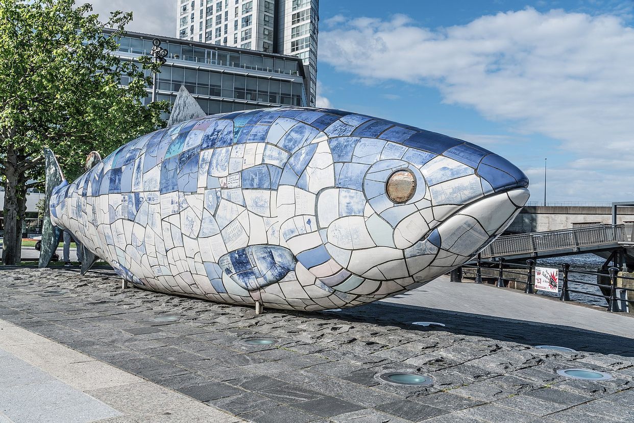 The Big Fish