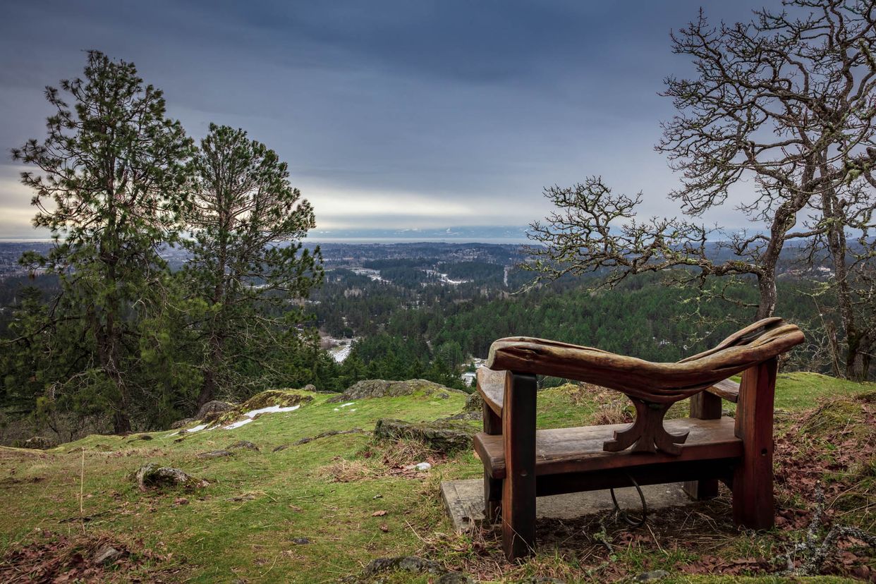 View from Observatory