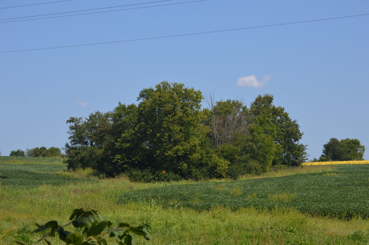 Mound Hill Archaeological Site