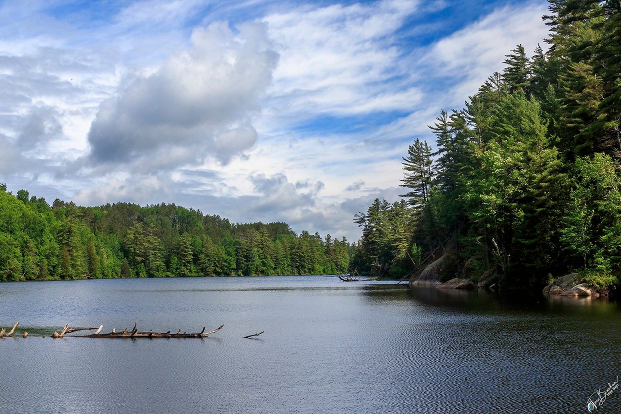 Blind Pond