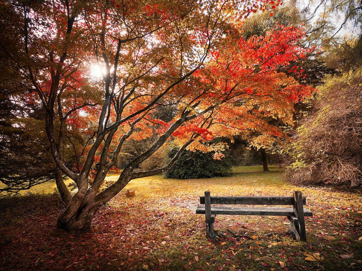 Westonbirt, The National Arboretum