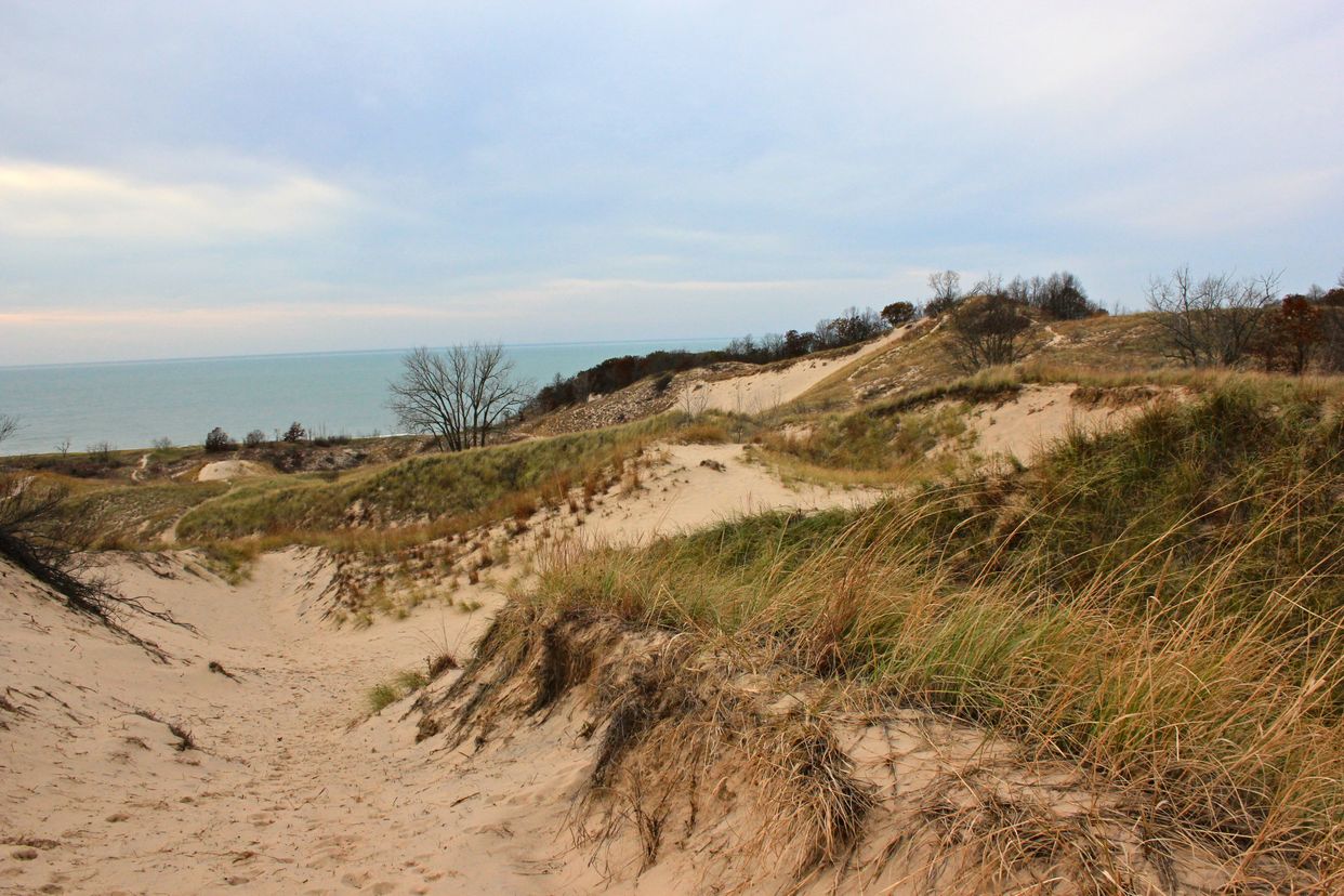 Warren Dunes