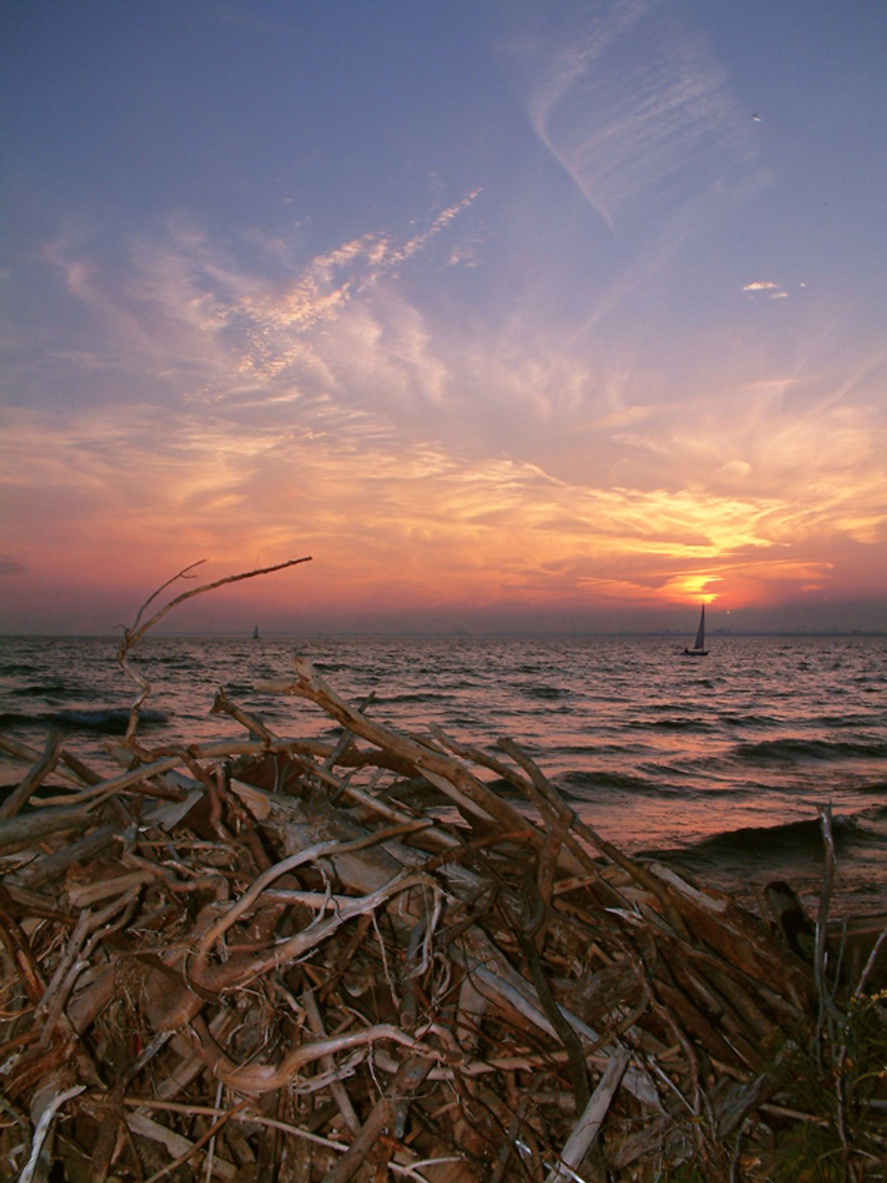 Gibraltar Point Beach