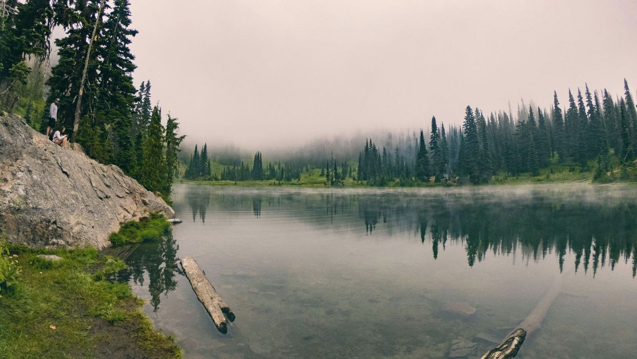 Sheep Lake