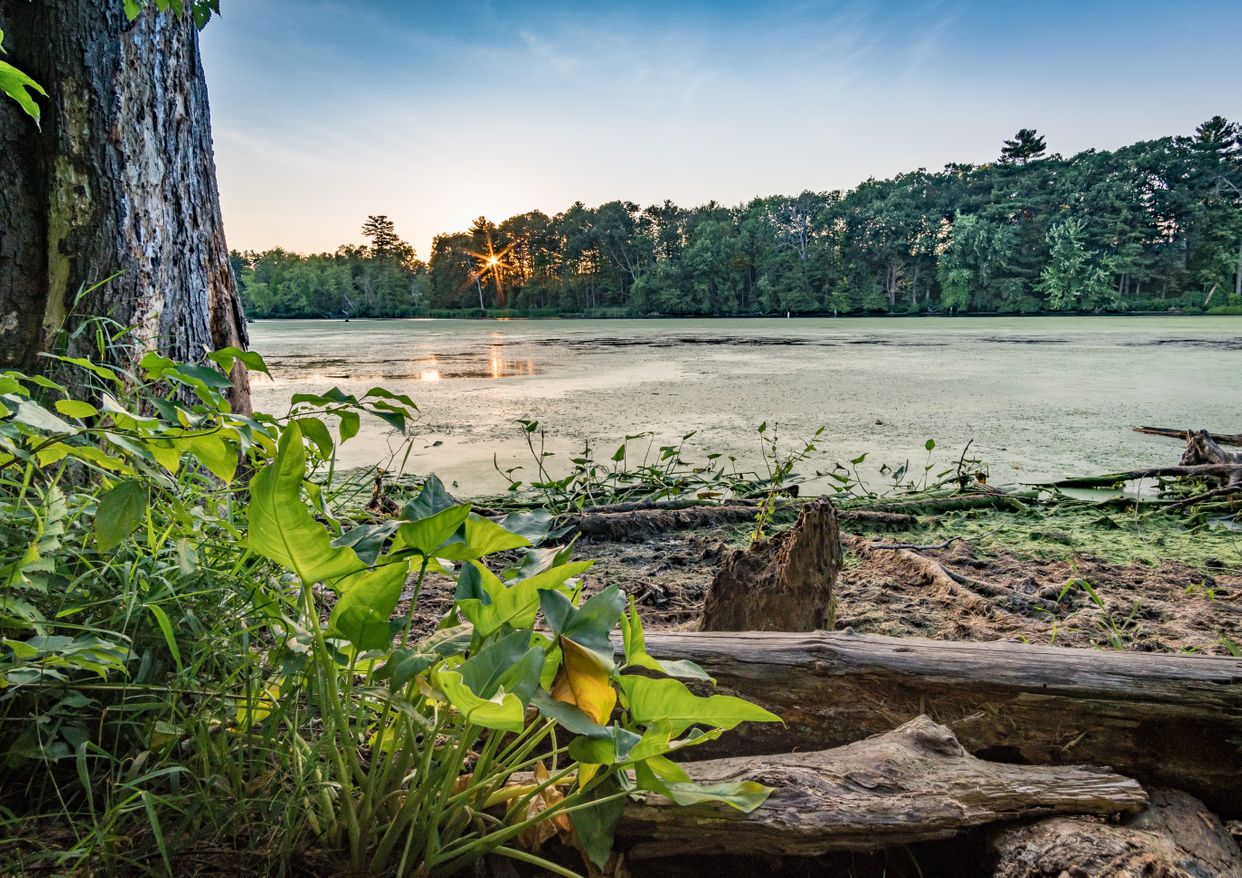 Mine Falls Park