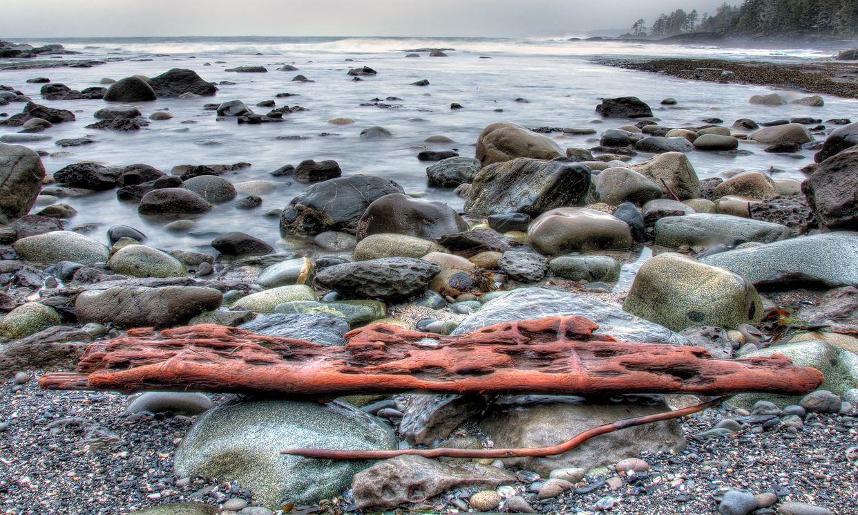 Botanical Beach