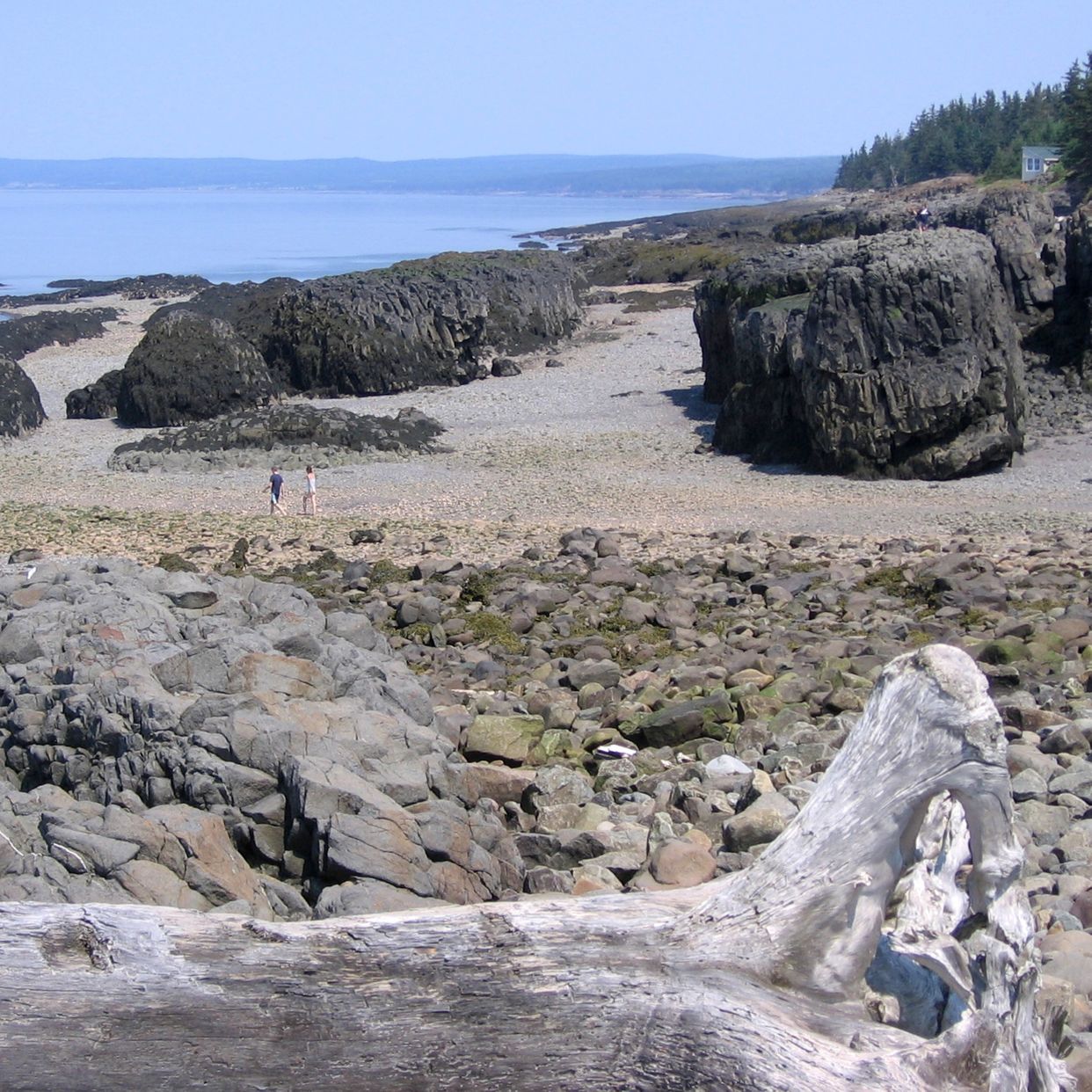 Baxter Harbour