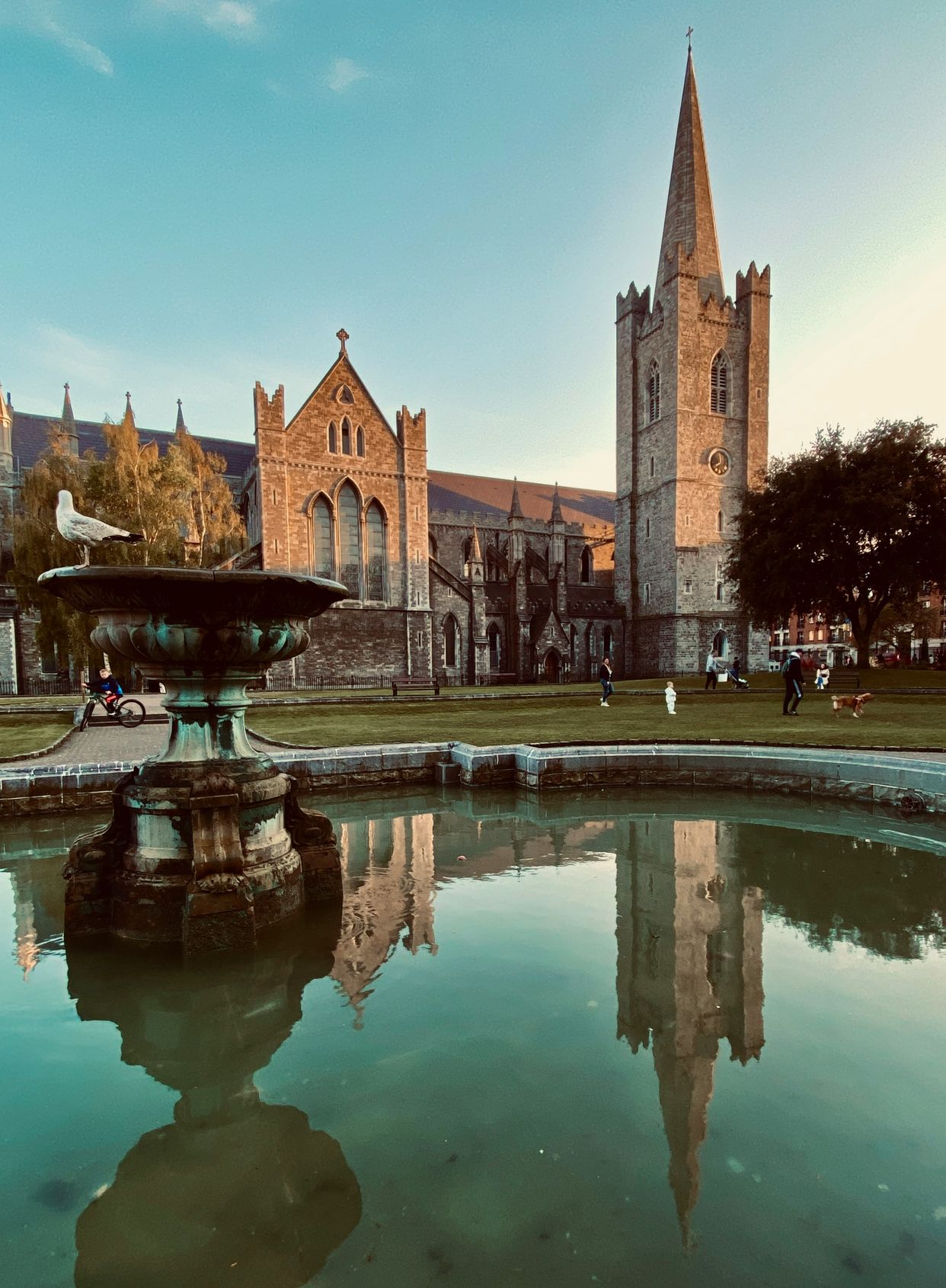 St. Patrick's Cathedral 