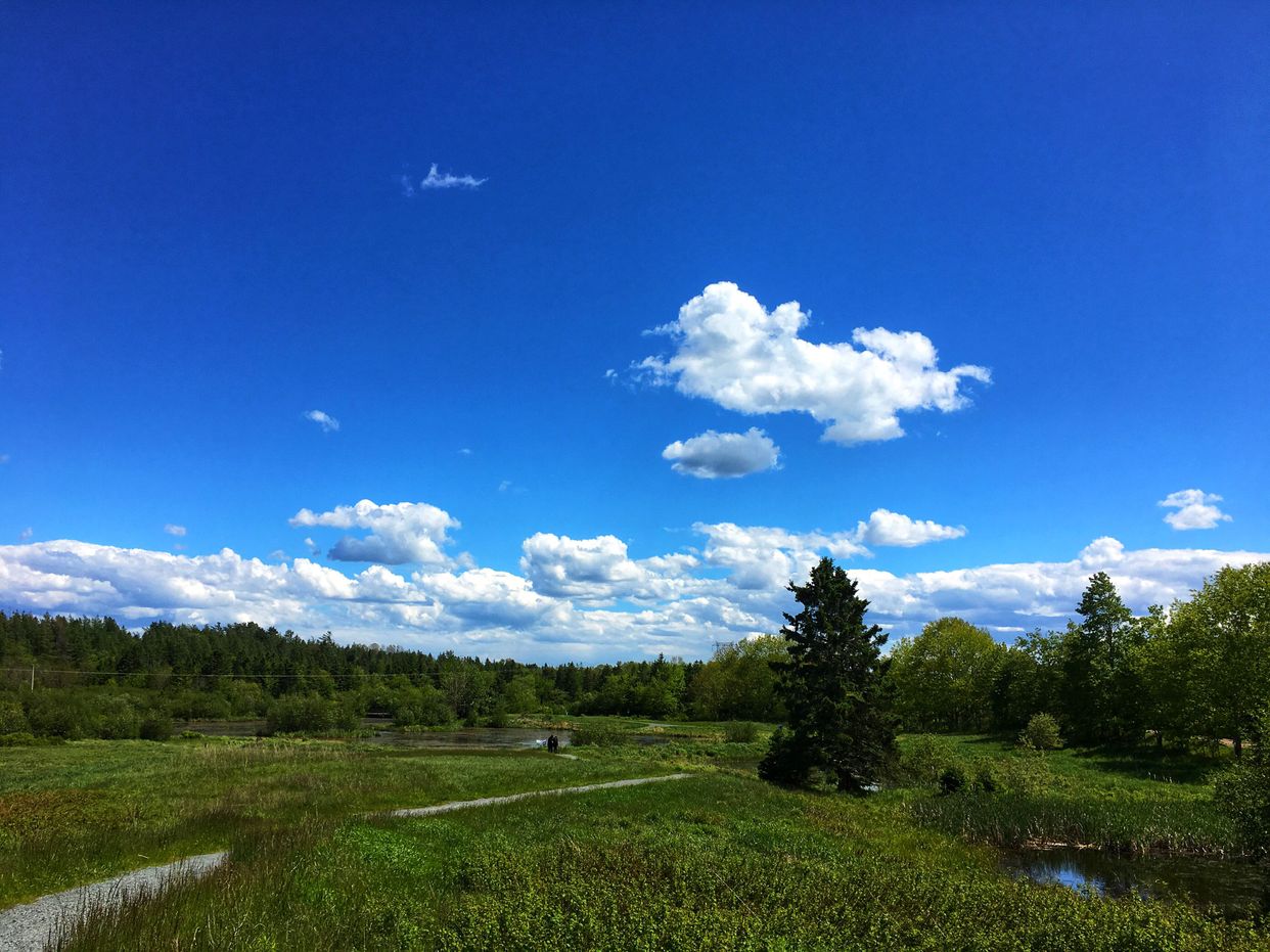 Subenacadie Wetlands Trail