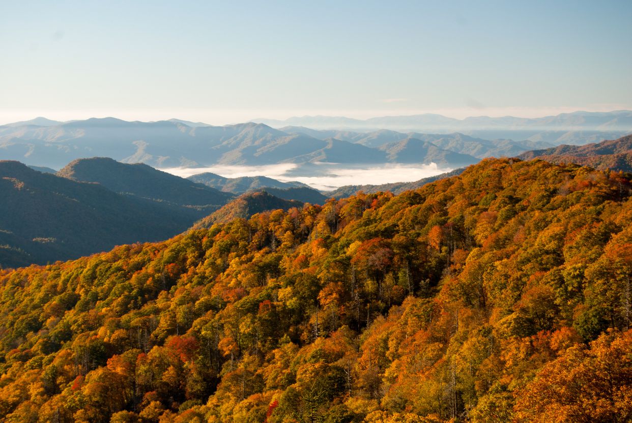 Webb Overlook