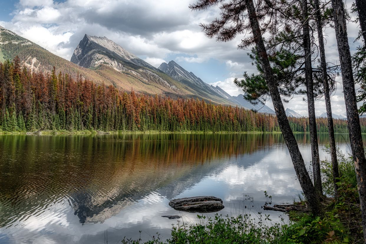 Honeymoon Lake