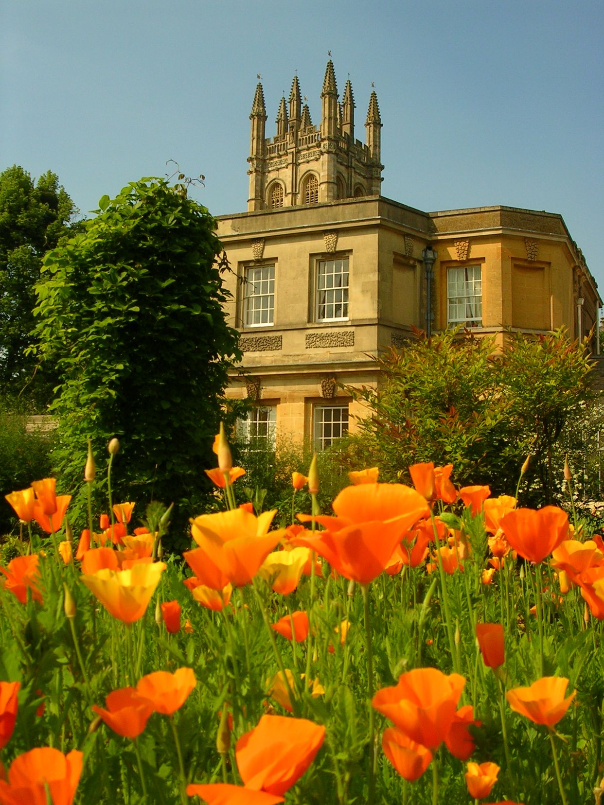 Oxford Botanic Garden