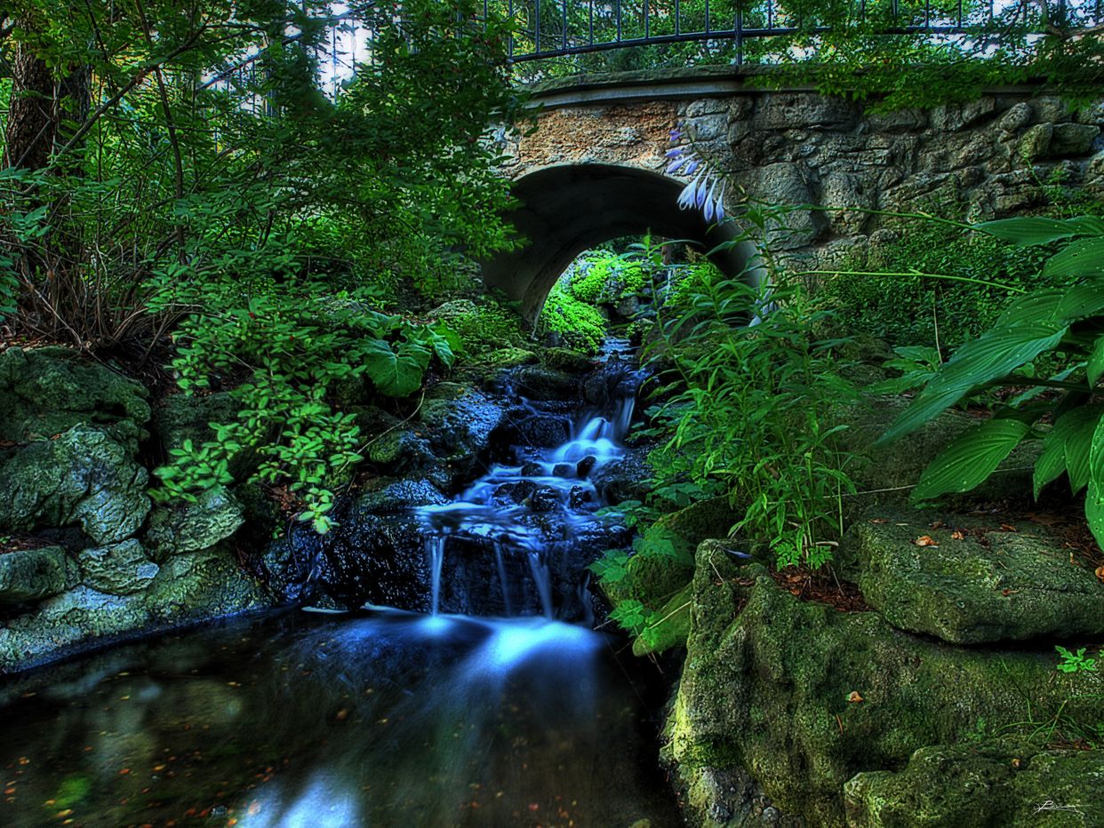 High Park