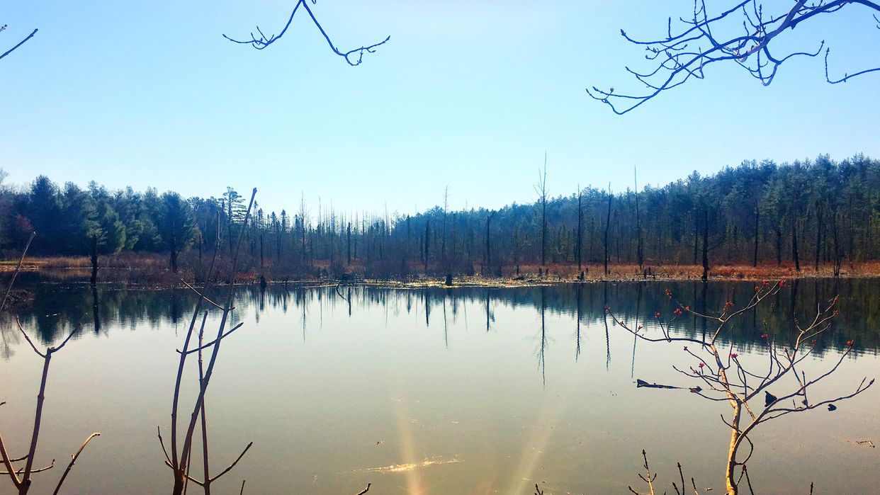 Calm Lake Waters
