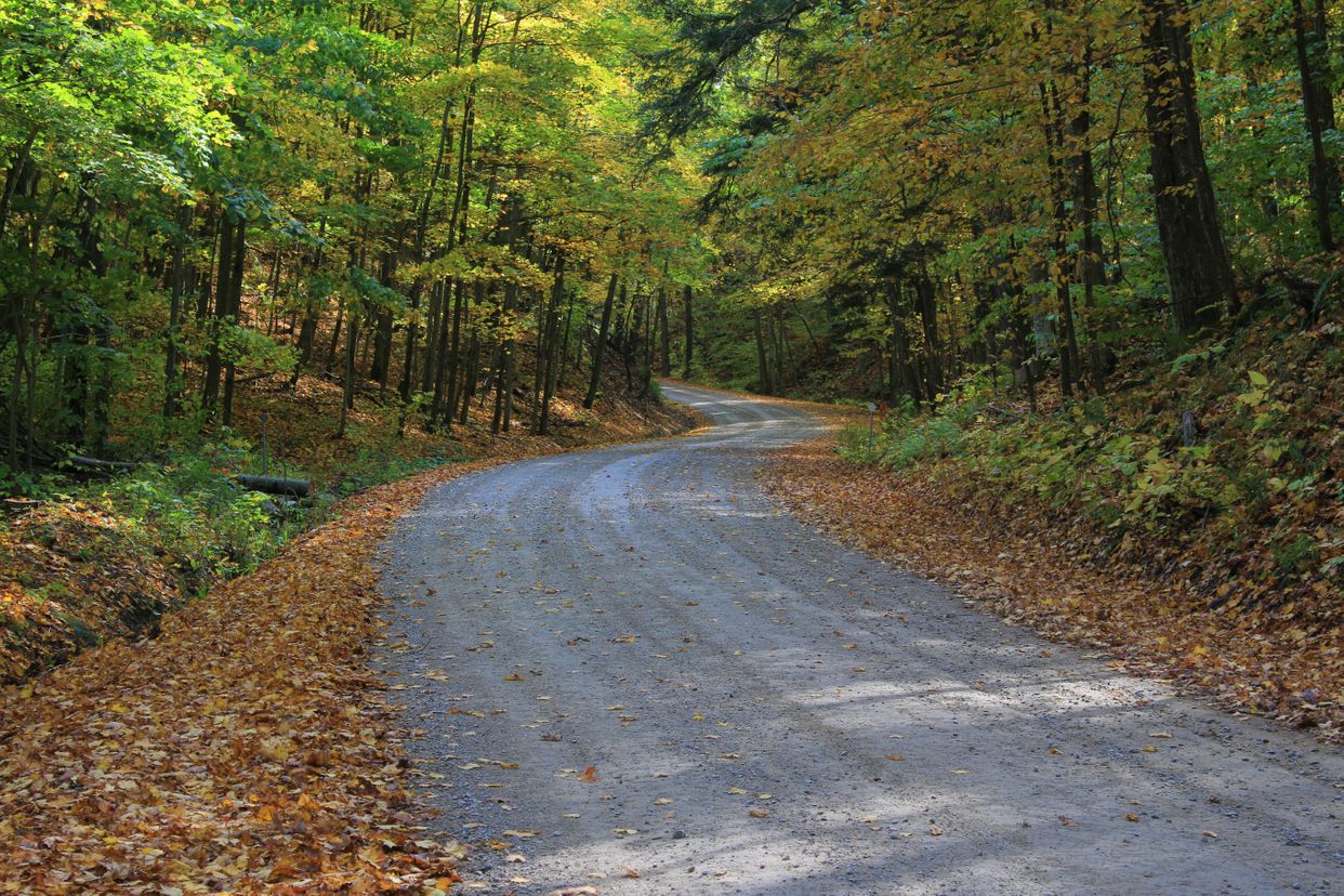 Autumn Colours in Mono Township