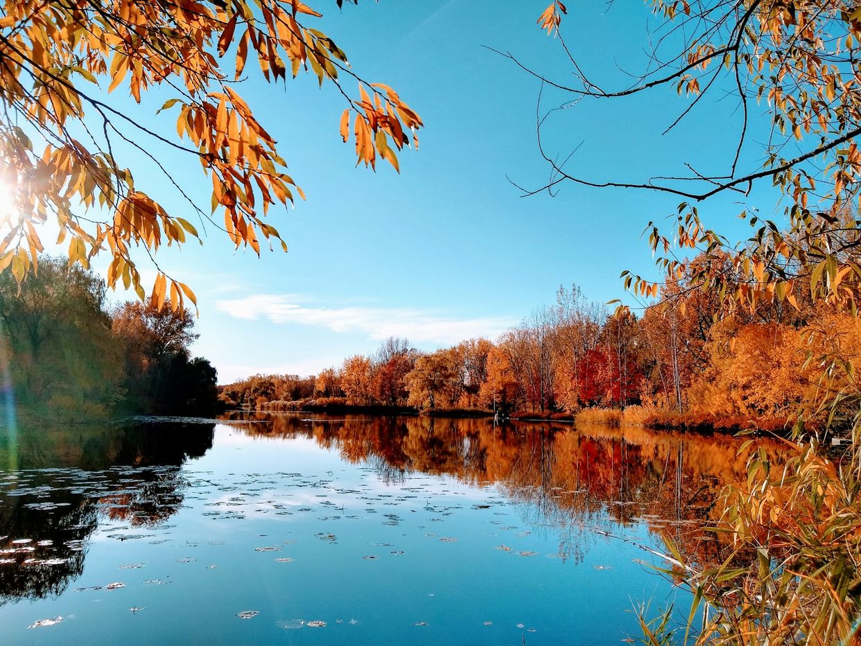 Parc Angrignon