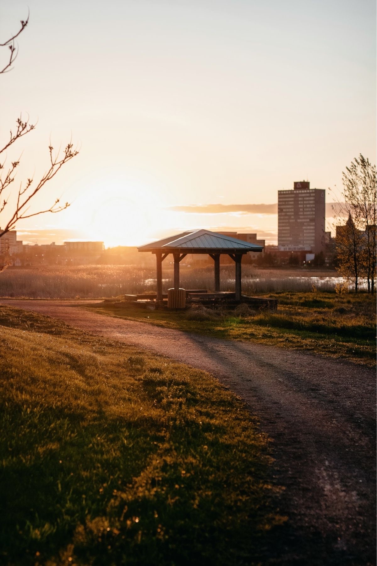 Riverview Marsh Trail — Photo by Ashna Rampersaud