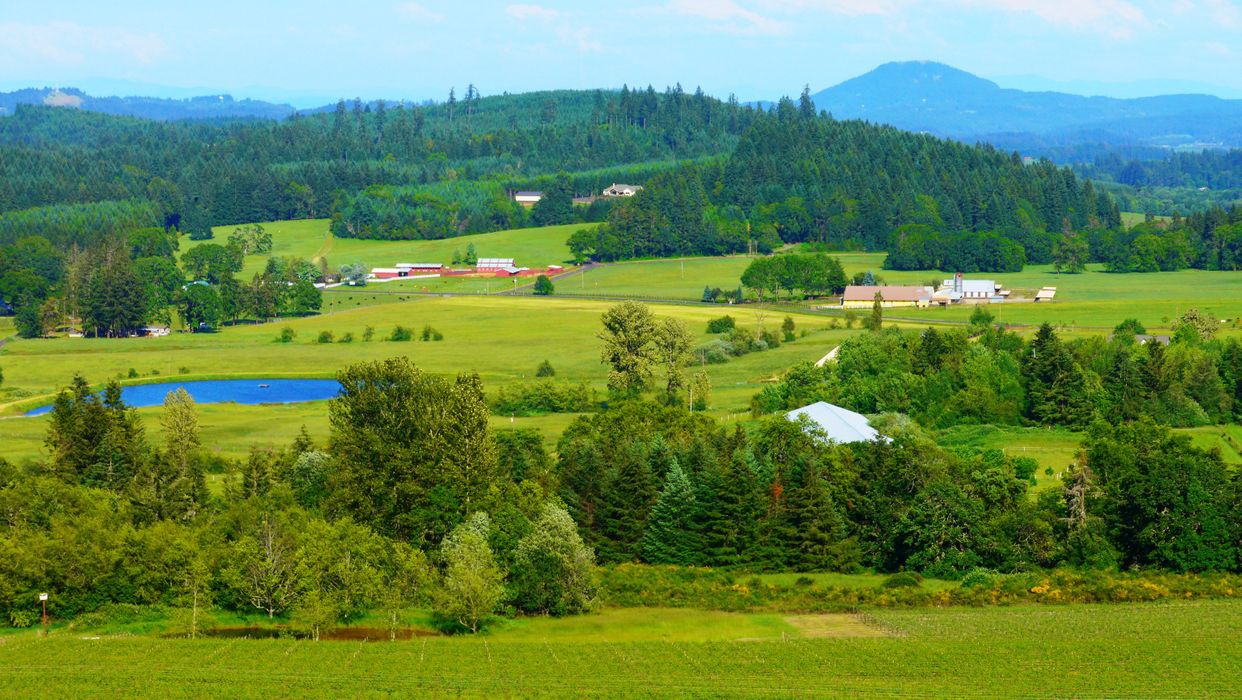 Sarver Winery