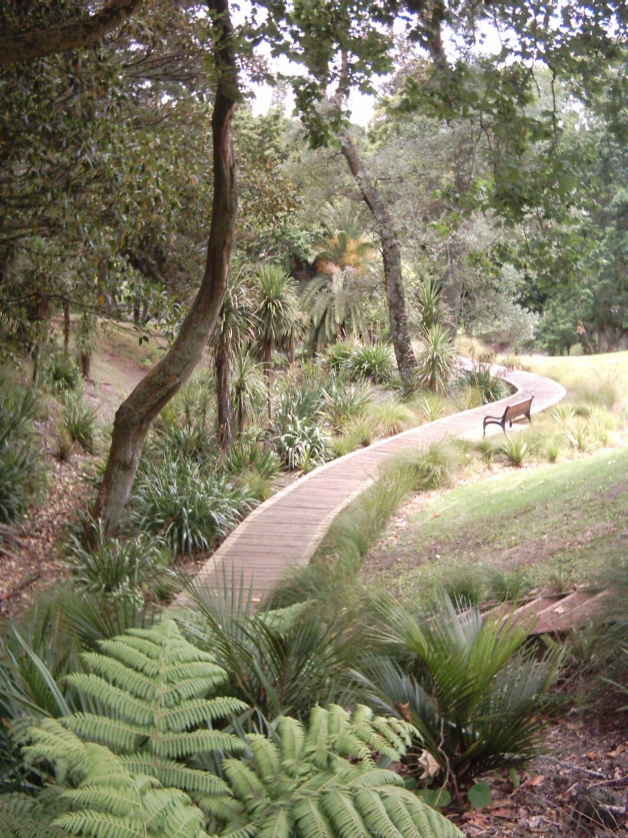 Western Park