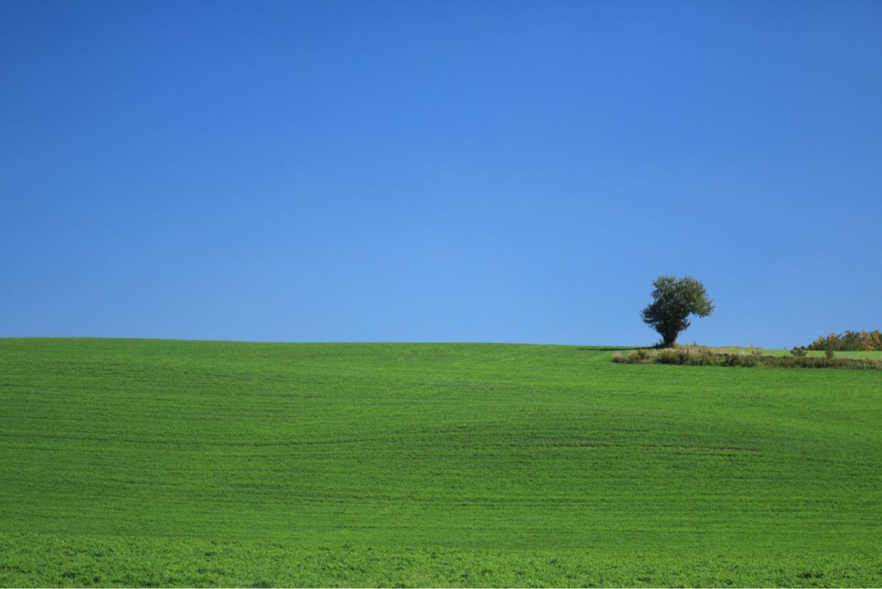 Lichty Road Lone Tree