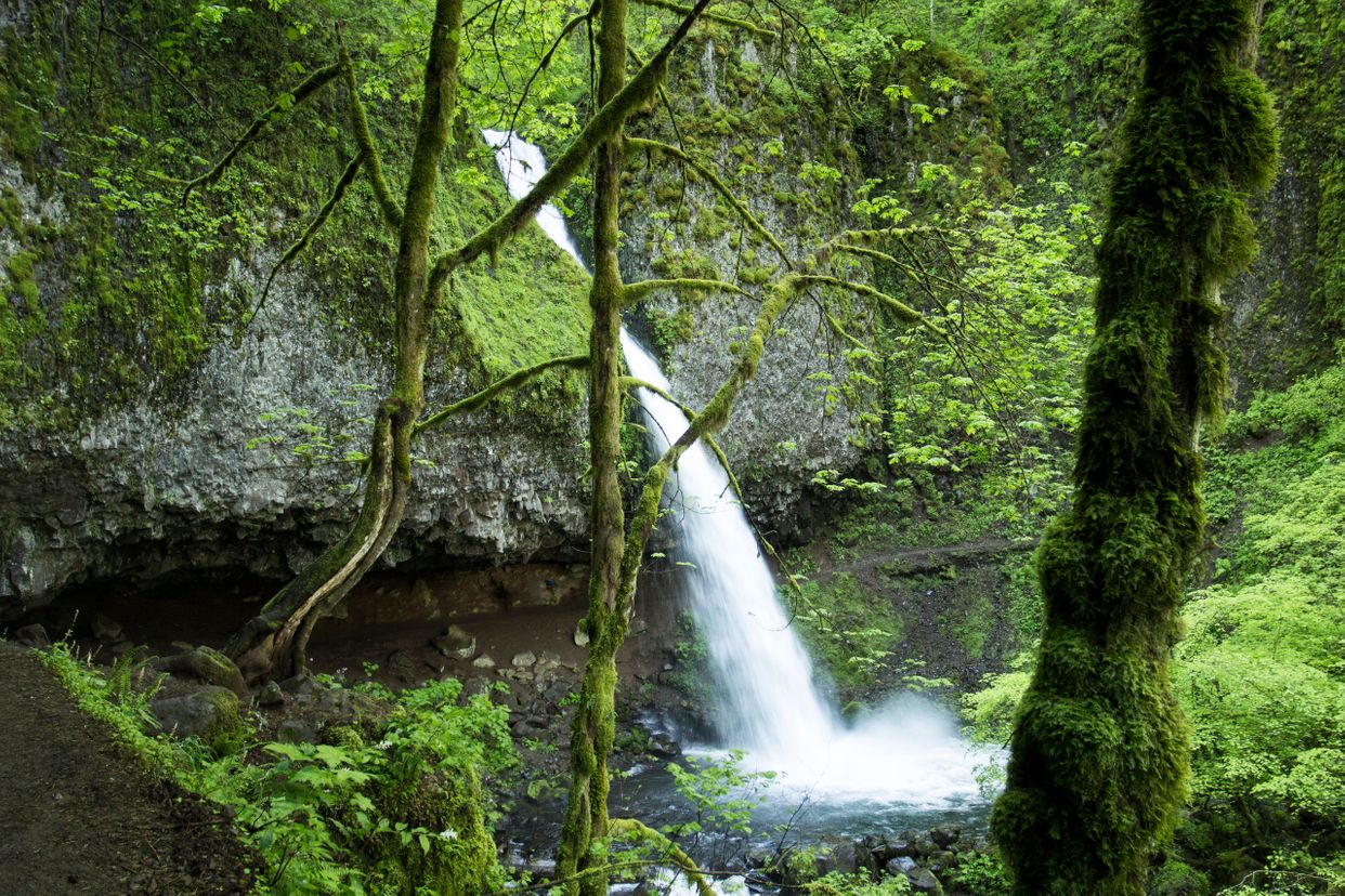Upper Horsetail Falls